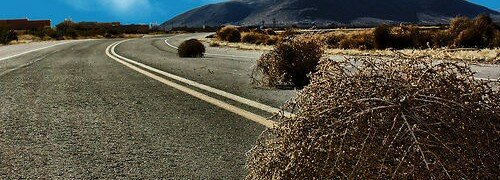 Tumbleweed