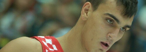 saric
