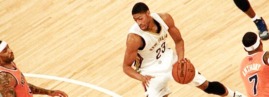 pelicansbanner