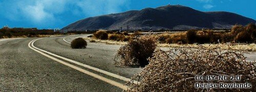 BannerTumbleweed