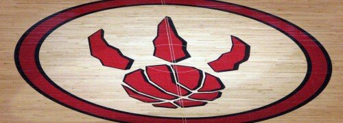 raptorscourt