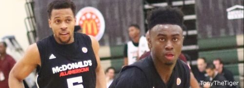 Jaylen Brown_1920x700