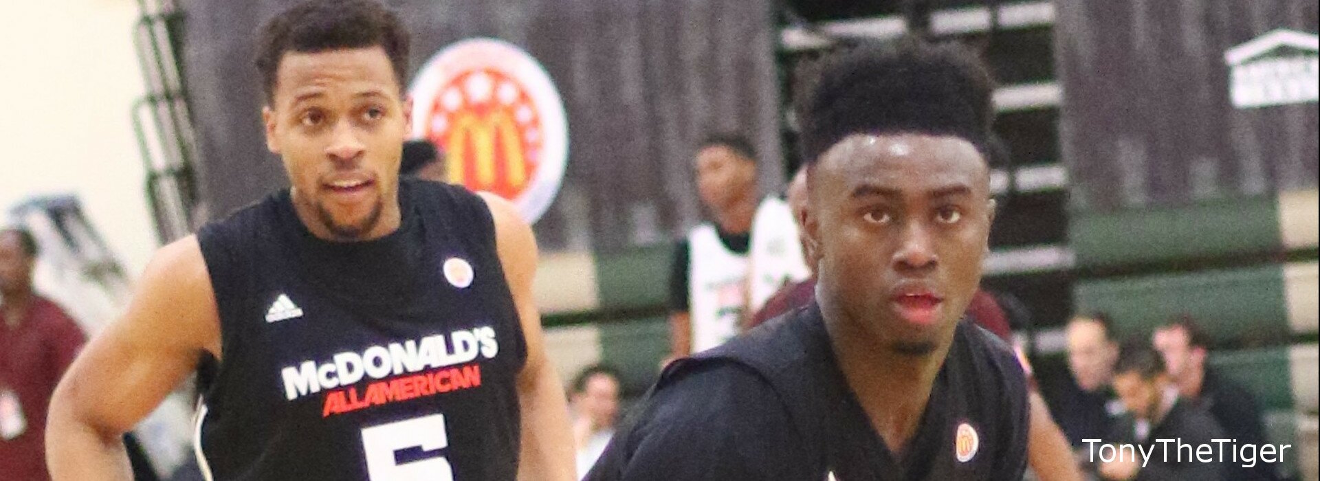Jaylen Brown_1920x700
