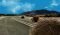 tumbleweed18